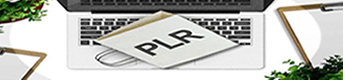 Digital PLR